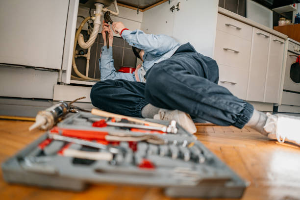 Best Residential Plumbing Services  in Watseka, IL