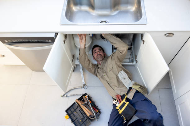 Best Plumbing Inspection Services  in Watseka, IL