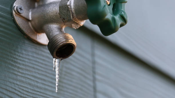Best Plumbing Services Near Me  in Watseka, IL