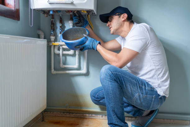 Best Local Plumber Services  in Watseka, IL
