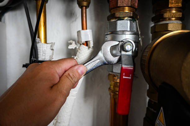 Best Affordable Plumber Near Me  in Watseka, IL